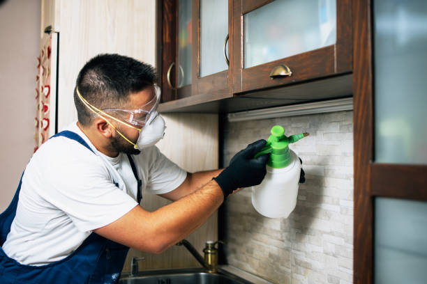 Best Commercial Pest Control Services  in Lake Village, AR