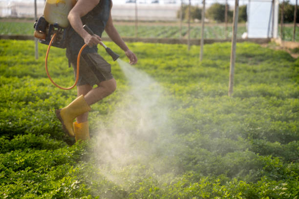 Best Best Pest Control Companies  in Lake Village, AR