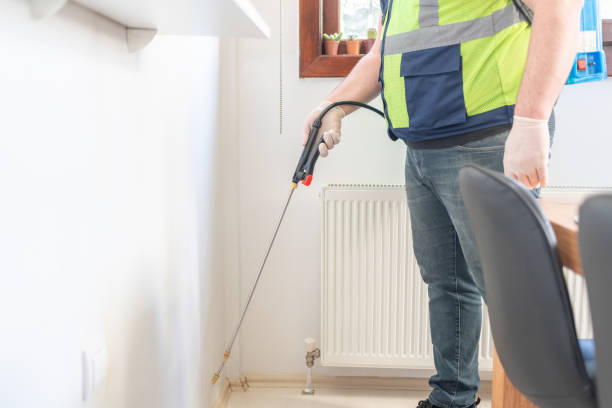Best Residential Pest Control  in Lake Village, AR