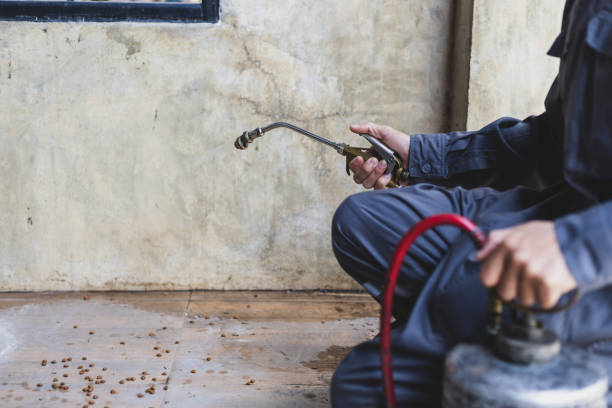 Best Pest Prevention Services  in Lake Village, AR